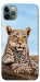 Чохол Proud leopard для iPhone 11 Pro Max