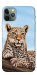 Чохол Proud leopard для iPhone 11 Pro