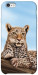 Чехол Proud leopard для iPhone 6