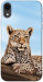 Чехол Proud leopard для iPhone XR