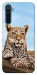 Чехол Proud leopard для Realme 6 Pro