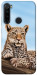 Чехол Proud leopard для Xiaomi Redmi Note 8