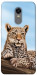 Чохол Proud leopard для Xiaomi Redmi Note 5 (Single Camera)