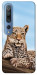 Чехол Proud leopard для Xiaomi Mi 10