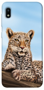 Чехол Proud leopard для Galaxy A10 (A105F)