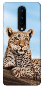 Чохол Proud leopard для OnePlus 8