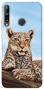 Чехол Proud leopard для Y7p (2020)
