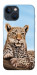 Чохол Proud leopard для iPhone 13 mini