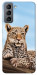 Чехол Proud leopard для Galaxy S21 FE