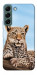 Чехол Proud leopard для Galaxy S22