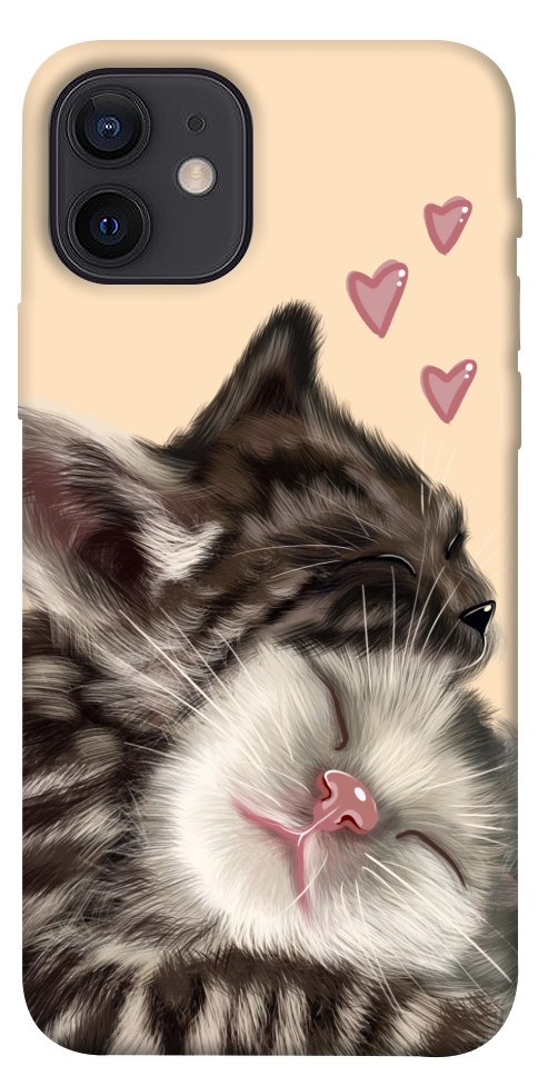 Чехол Cats love для iPhone 12