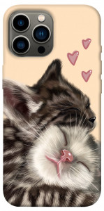 Чехол Cats love для iPhone 12 Pro Max