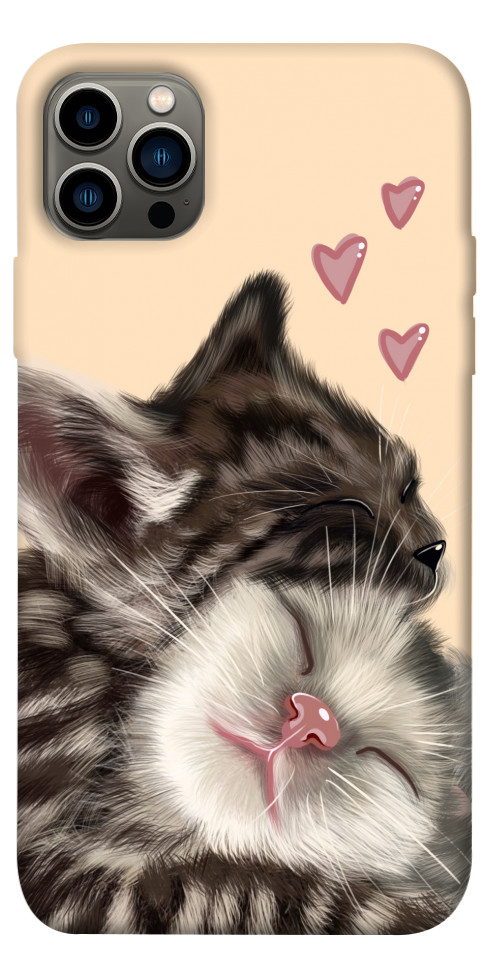 Чехол Cats love для iPhone 12 Pro