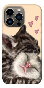 Чохол Cats love для iPhone 13 Pro