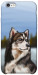 Чехол Wolf для iPhone 6