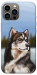 Чохол Wolf для iPhone 12 Pro Max