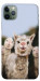 Чехол Funny llamas для iPhone 11 Pro Max