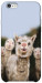 Чехол Funny llamas для iPhone 6
