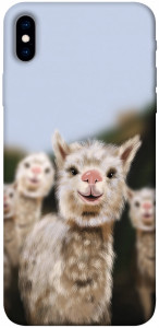 Чохол Funny llamas для iPhone XS Max