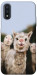 Чехол Funny llamas для Galaxy A01