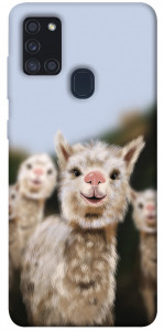 Чехол Funny llamas для Galaxy A21s (2020)