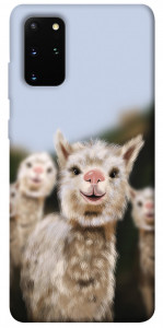 Чехол Funny llamas для Galaxy S20 Plus (2020)