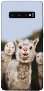Чехол Funny llamas для Galaxy S10 Plus (2019)