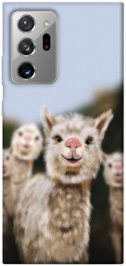 Чехол Funny llamas для Galaxy Note 20 Ultra