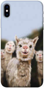 Чехол Funny llamas для iPhone XS