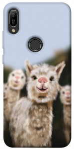Чехол Funny llamas для Huawei Y6 (2019)