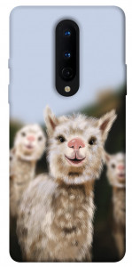Чехол Funny llamas для OnePlus 8