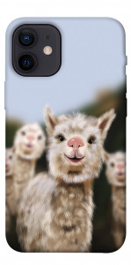 Чохол Funny llamas для iPhone 12 mini