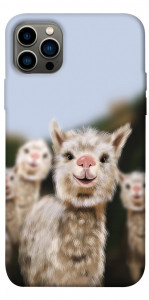 Чехол Funny llamas для iPhone 12 Pro