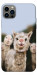 Чехол Funny llamas для iPhone 12 Pro