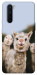 Чехол Funny llamas для OnePlus Nord