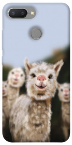 Чехол Funny llamas для Xiaomi Redmi 6