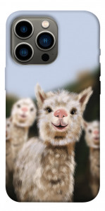 Чехол Funny llamas для iPhone 13 Pro