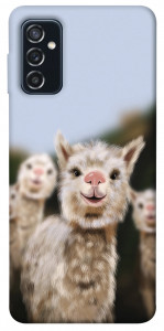 Чехол Funny llamas для Galaxy M52