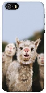 Чехол Funny llamas для iPhone 5