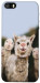 Чохол Funny llamas для iPhone 5