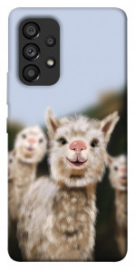 Чехол Funny llamas для Galaxy A53