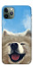 Чохол Samoyed husky для iPhone 11 Pro