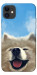 Чехол Samoyed husky для iPhone 11