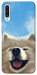 Чохол Samoyed husky для Galaxy A50 (2019)