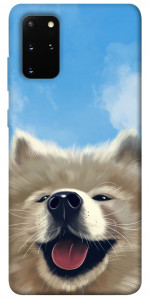 Чохол Samoyed husky для Galaxy S20 Plus (2020)