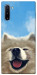 Чохол Samoyed husky для Galaxy Note 10 (2019)