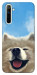 Чехол Samoyed husky для Realme 6