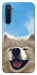 Чехол Samoyed husky для Realme 6 Pro