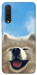 Чохол Samoyed husky для Xiaomi Mi CC9