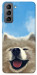 Чохол Samoyed husky для Galaxy S21 FE